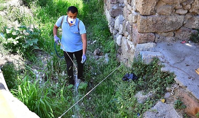 İzmir’de sivrisineklere karşı etkin mücadele