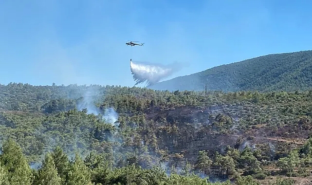 İzmir-Çeşme otoyolundaki yangın kontrol altına alındı