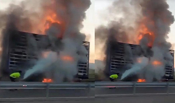 İzmir’e gelen canlı tavuk yüklü kamyon alev alev yandı! 1500 tavuk öldü