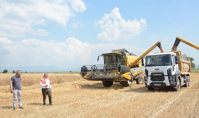 Torbalı Belediyesi buğday hasadını tamamladı
