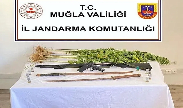 Uyuşturucu operasyonunda 'samuray kılıçları' ele geçirildi