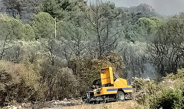 Valilik açıkladı! Kınık'taki orman yangınının sebebi belli oldu