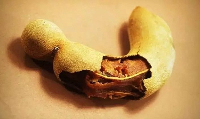 Demirhindi ne işe yarar? Demirhindi hangi hastalığa iyi gelir?
