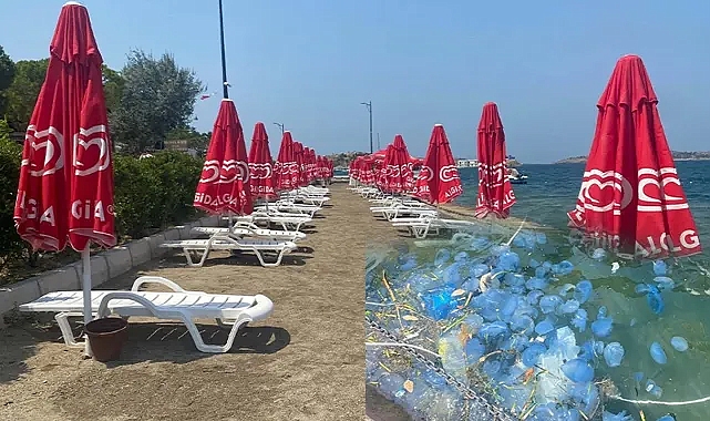 Foça sahilinde plajlar boş kaldı!