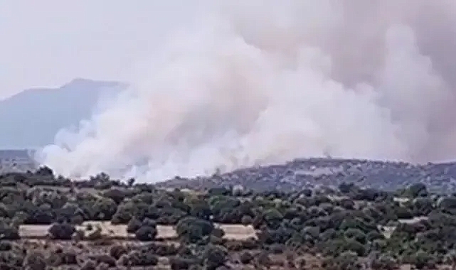 İzmir'de makilik alanda yangın