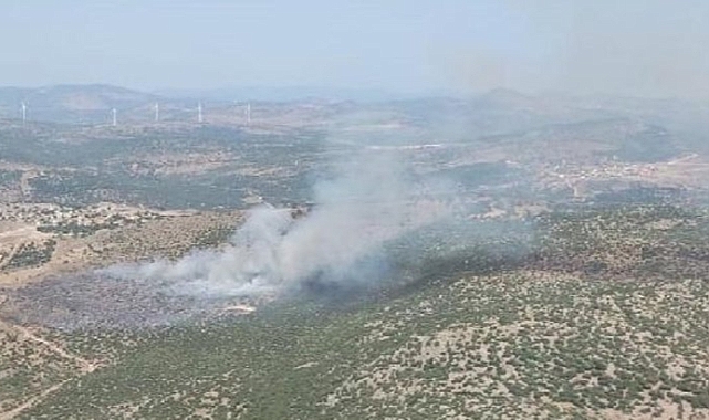 İzmir'de makilik alanda yangın çıktı! Soğutma çalışması yapılıyor