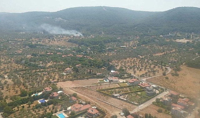 Urla'da orman yangını! Hızlı müdahale ile kontrol altına alındı