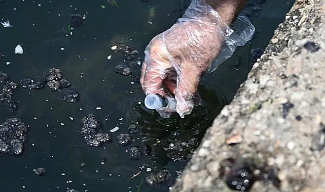 Körfez'de suyun renginin kırmızıya dönmesi endişe yaratmıştı... O açıklama geldi!