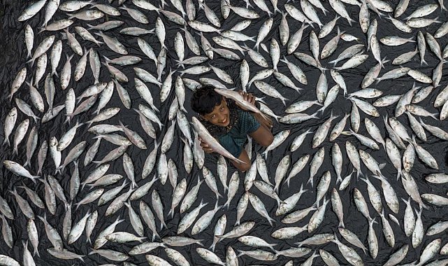 Akdeniz Belediyesinin '3. Uluslararası Fotoğraf Yarışması' sonuçlandı