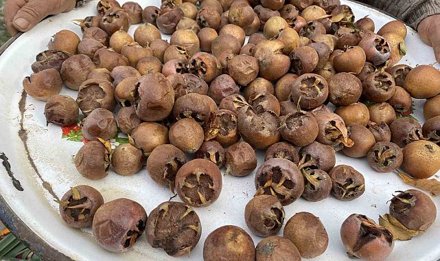 Alaşehir'de şifa kaynağı muşmula yok satıyor