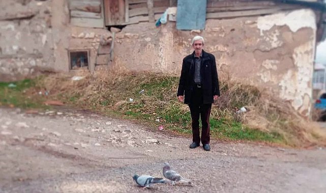 Anneye gösterilen vefa güvercinlerle kurulan dostluk yüzlerde tebessüm oluşturdu