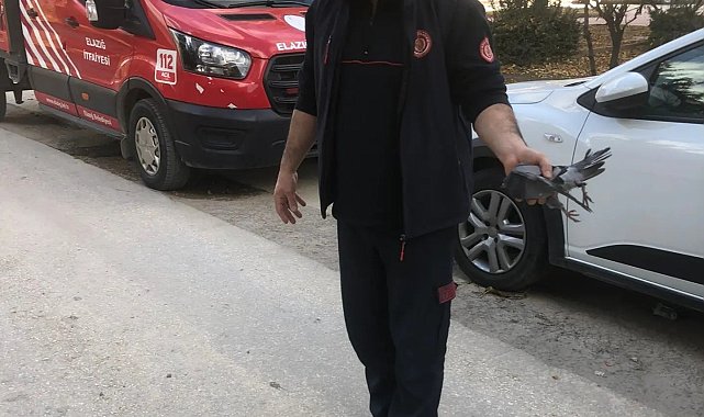 Apartman boşluğuna düşen güvercini itfaiye ekipleri kurtardı