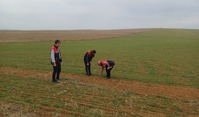Arazi denetimleri ve çiftçi bilgilendirme toplantıları yapıldı