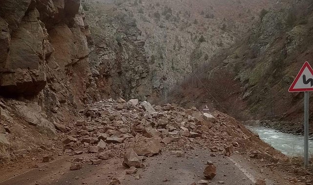 Artvin-Ardahan kara yolunda heyelan; yol çift taraflı ulaşıma kapandı