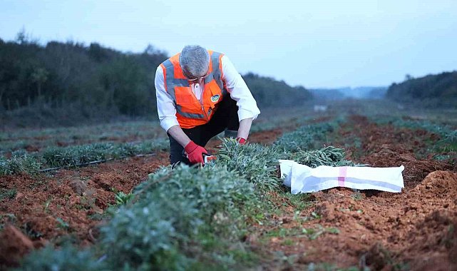 Başkan Yüce: "Dünya Tarım Şehri unvanını şehrimize getireceğiz"