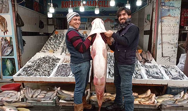 Batman'da balıkçının oltasına takılan balık dana fiyatına satıldı