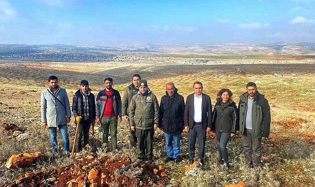 Besni Kaymakamı Partal dikilen fidanları inceledi