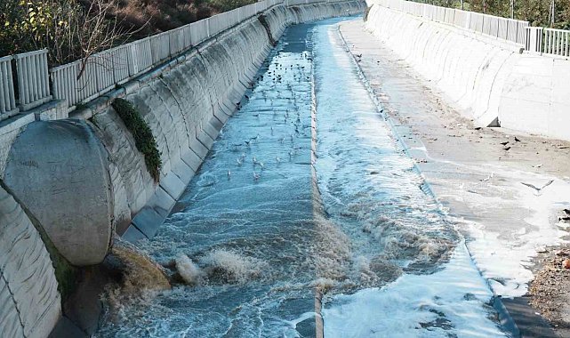 Beylikdüzü'nde atık sular nedeniyle derenin rengi değişti