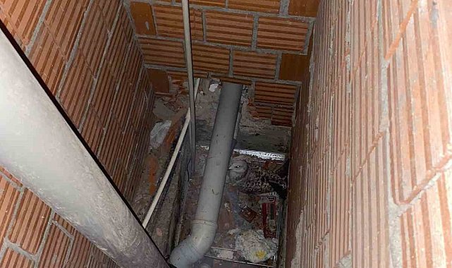 Bina boşluğunda mahsur kalan martıyı itfaiyeciler kurtardı