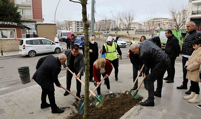 Büyükçekmece'de 2024 yılına 24 mahallede ağaç dikerek girildi