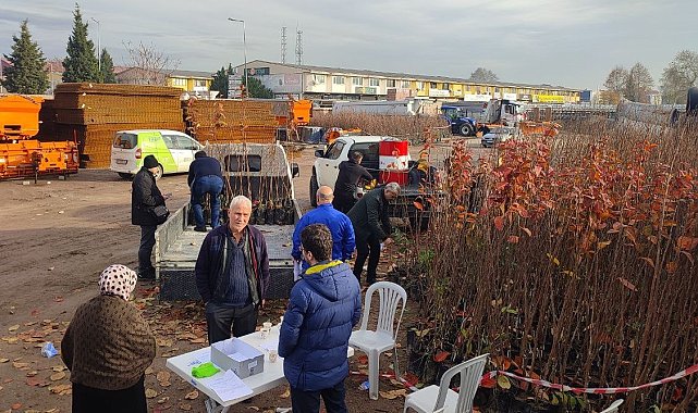 Çiftçilere yüzde 50 hibeli meyve fidanı dağıtımı başladı