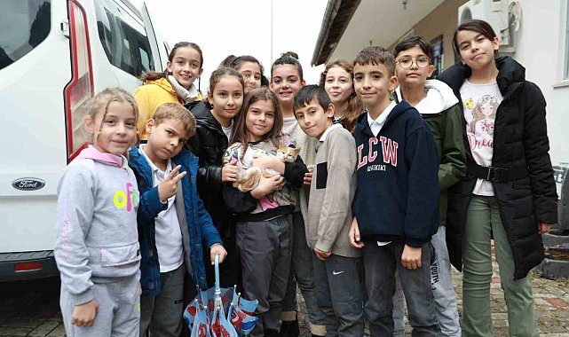 Çocuklar ile belediye el ele kedilere umut oluyor
