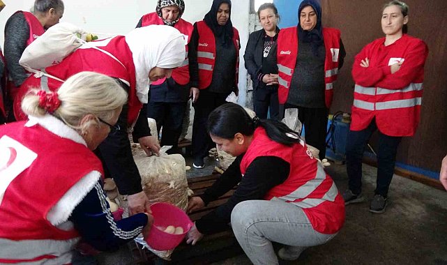 Dezavantajlı kadınlar istiridye mantarı üreterek kazanıyor