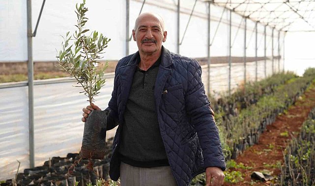 Emekli imam kurduğu serada siparişlere yetişemiyor