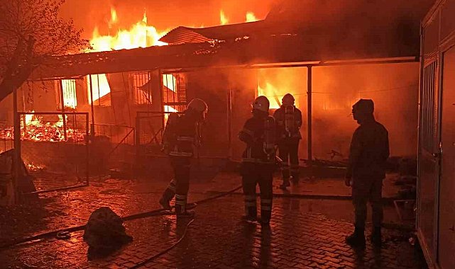 Evde çıkan yangın geceyi aydınlattı