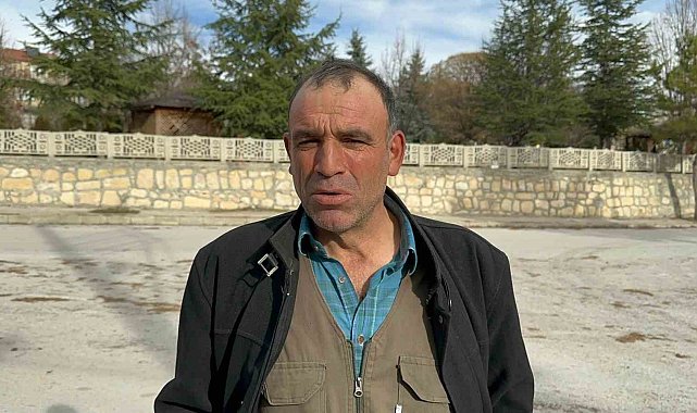 Evin önündeki köpek havalı tüfekle vurulup telef edildi