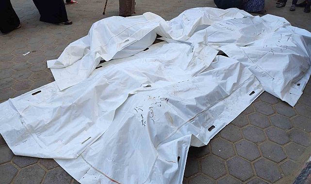 Filistinli doktor, babasının ve kardeşinin cansız bedenini görünce yıkıldı