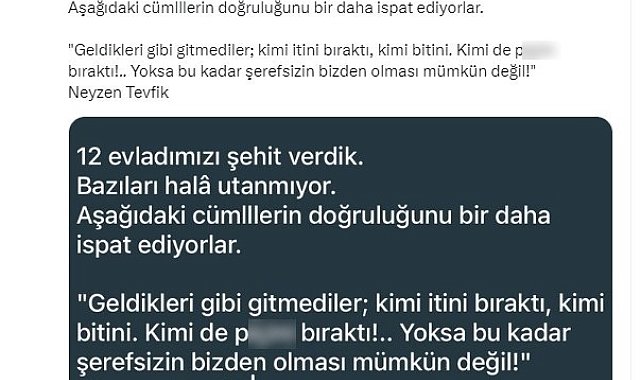Gazi Tümgeneral Alâ'dan terör destekçilerine Neyzen'li tepki