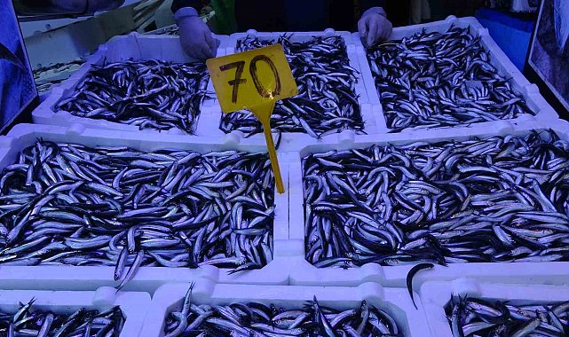Hamsi avı düşüşe geçti, fiyatı ikiye katlandı