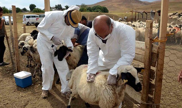 Her mevsim kırsala destek