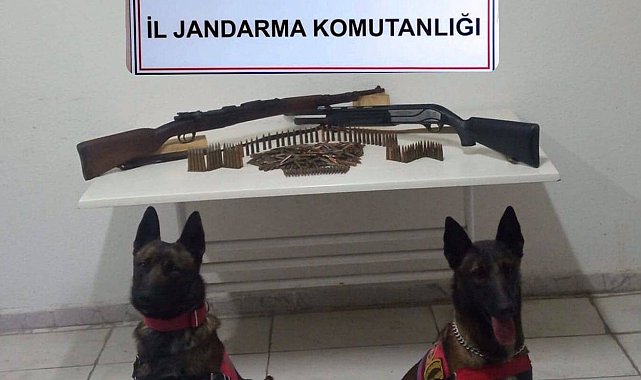 Iğdır'da silah kaçakçılığı operasyonu: 1 tutuklama
