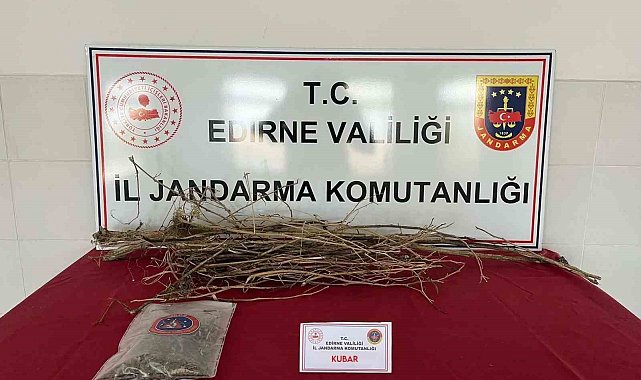 Jandarmadan uyuşturucu operasyonu: 2 kişi gözaltına alındı