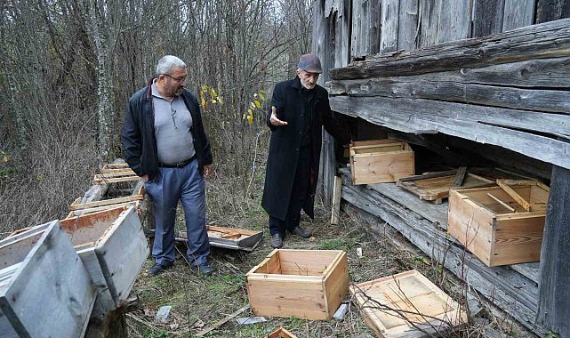 Kış uykusuna yatamayan ayılar, indikleri köyde 50 arı kovanını parçaladı