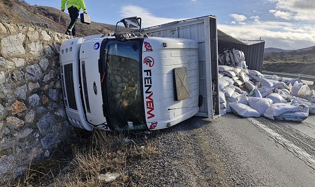 Kontrolden çıkan yem yüklü tır devrildi