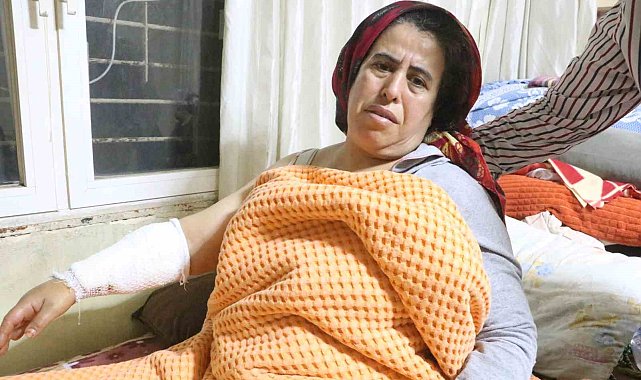 Köpeklerin saldırısına uğrayan kadın yaralandı