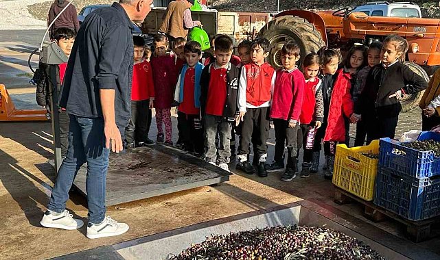 Köyceğiz'de öğrenciler zeytinden yağ çıkarılmasını gördü