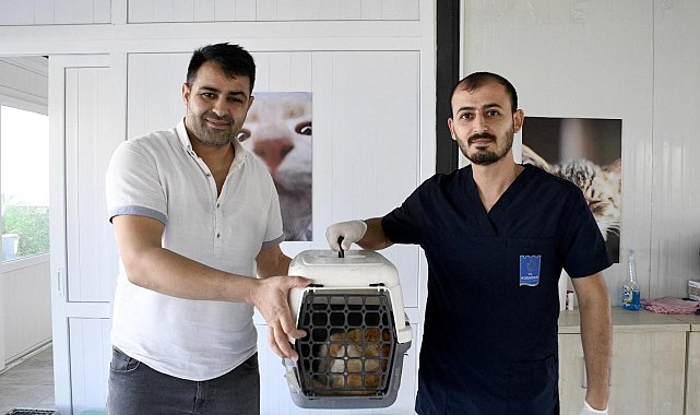 Kuşadası'nda minik patili can dostların sağlığı emin ellerde