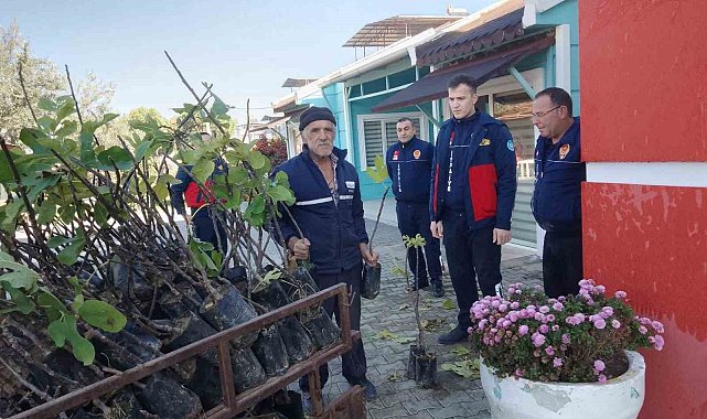 Manisalı üreticilere 116 bin 410 adet fidan desteği