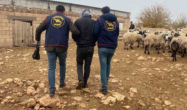 Mardin'de 2 aydır aranan cezaevi firarisi yakalandı