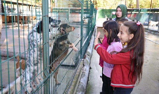 Marmaris'te patili dostlara yeni yıl ziyareti