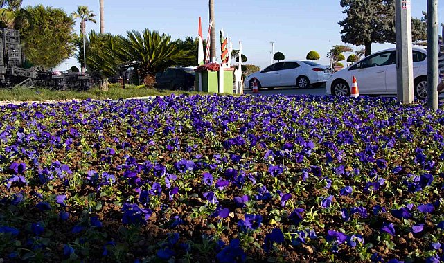 Mersin Büyükşehir Belediyesi yeşil alan bakımlarını sürdürüyor
