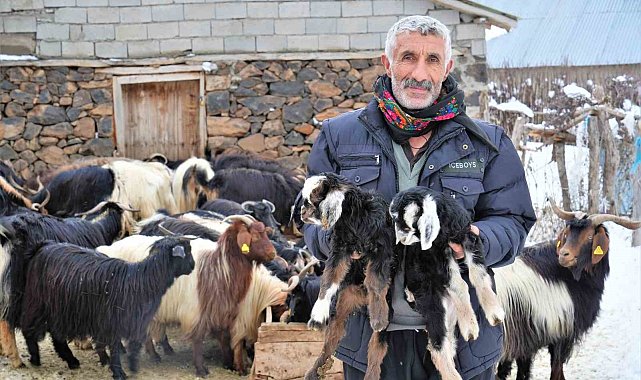 Muş'ta yüksek rakımlı köyler kara gömüldü