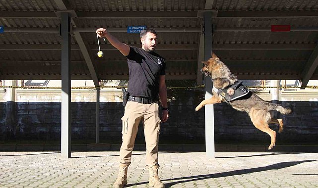 Polisin en büyük destekçisi dedektör köpekler