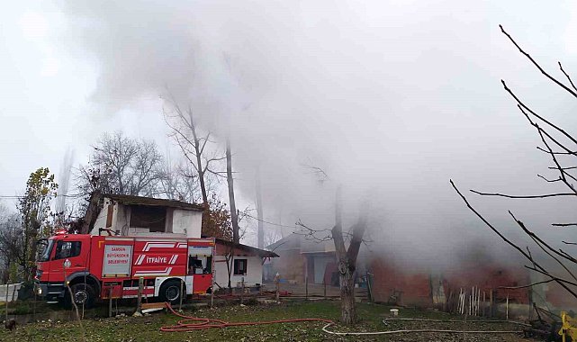 Samsun'da ahır yangını: 7 büyükbaş hayvan telef oldu