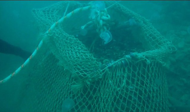 Sarıyer'de 4 buçuk ton kaçak midye ele geçirildi