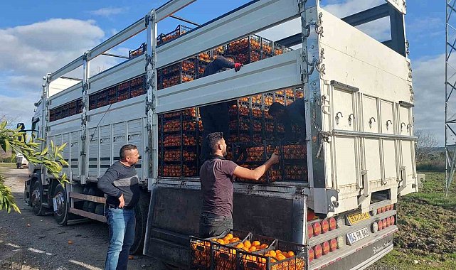 Seferihisar Belediyesinden depremzedelere 15 ton mandalina